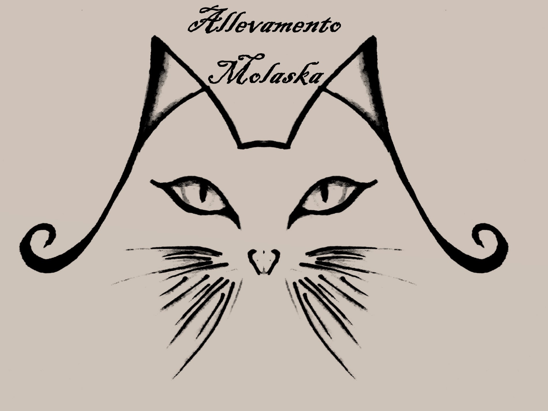 Molaska.net